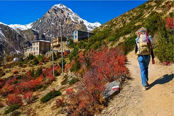 Annapurna Circuit Trek In October