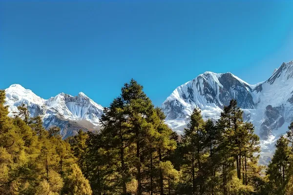 Manaslu Circuit Trek Cost & Itinerary | Complete Guide 2026/27