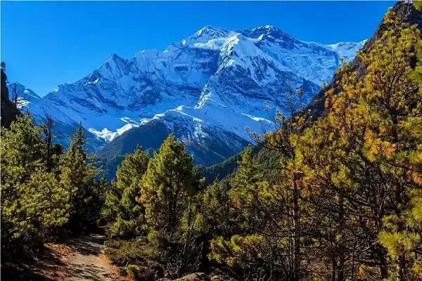 Trekking in Nepal in November