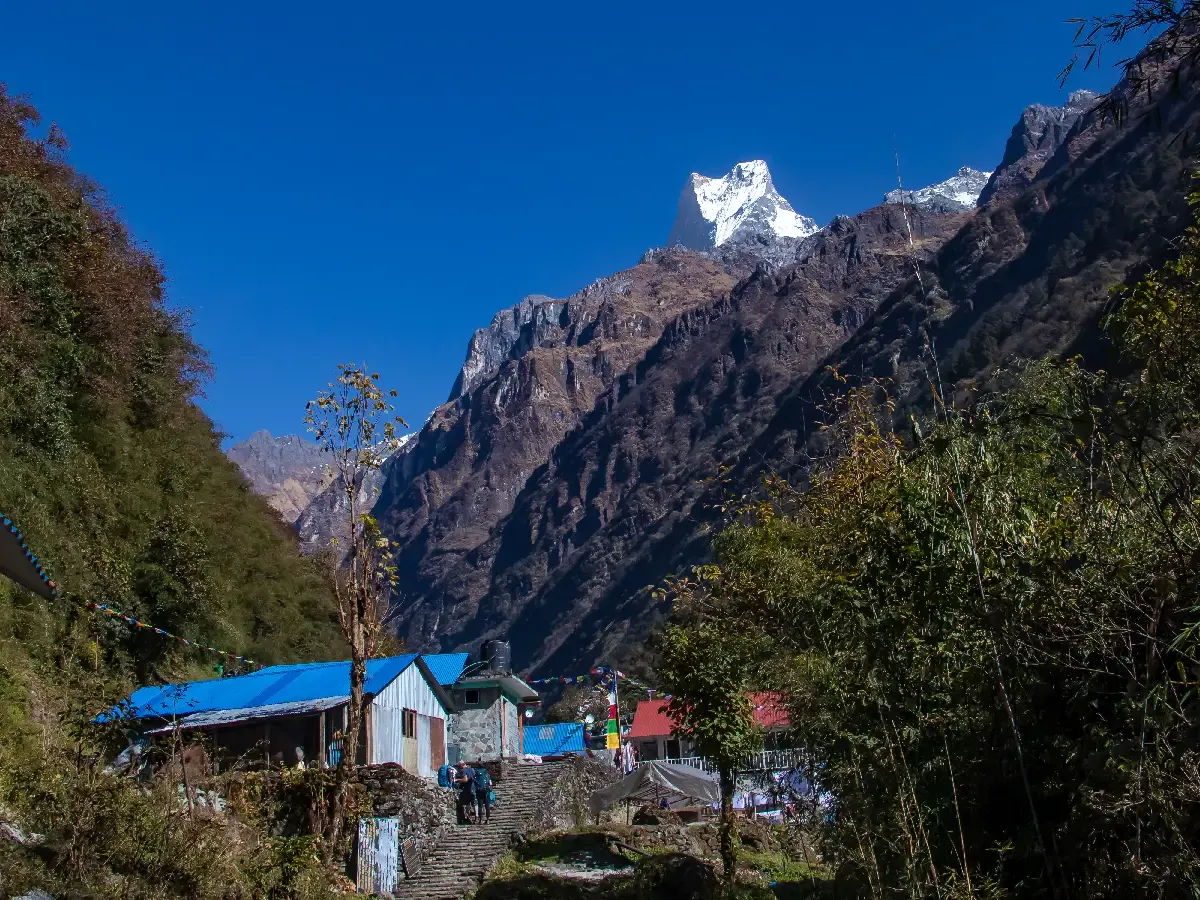 annapurna panorama trek scenic trail