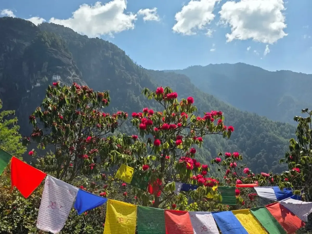 paro takstang hiking trail scenery