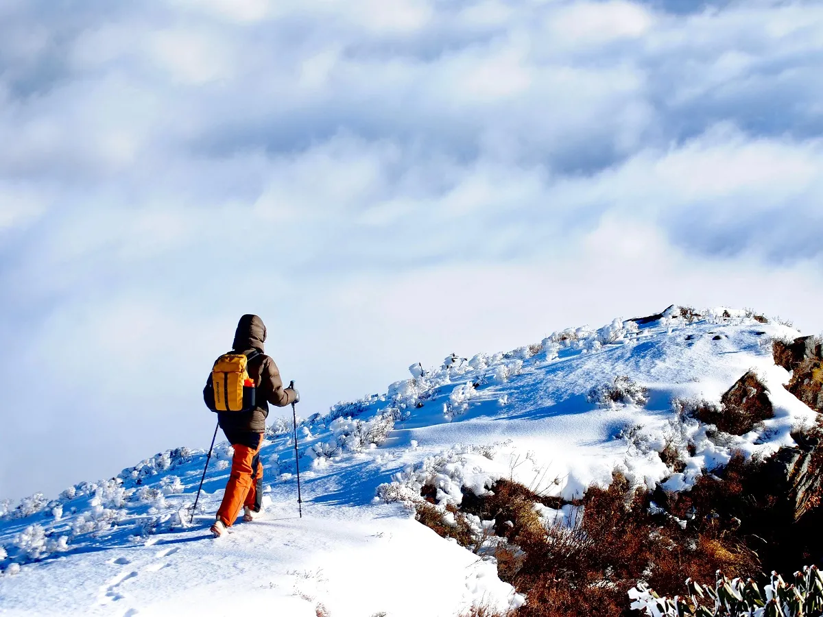 pikey peak trek snowy ridge trail