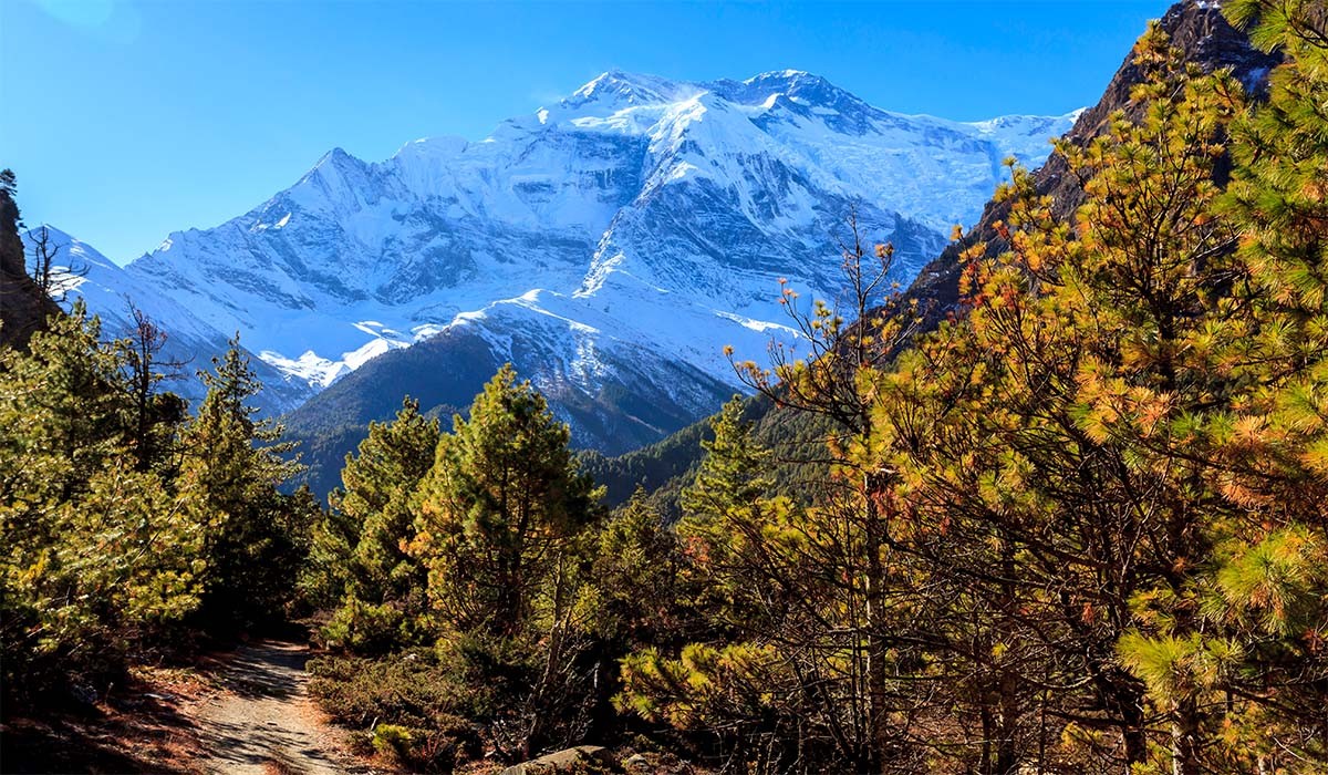 Annapurna Circuit Trek