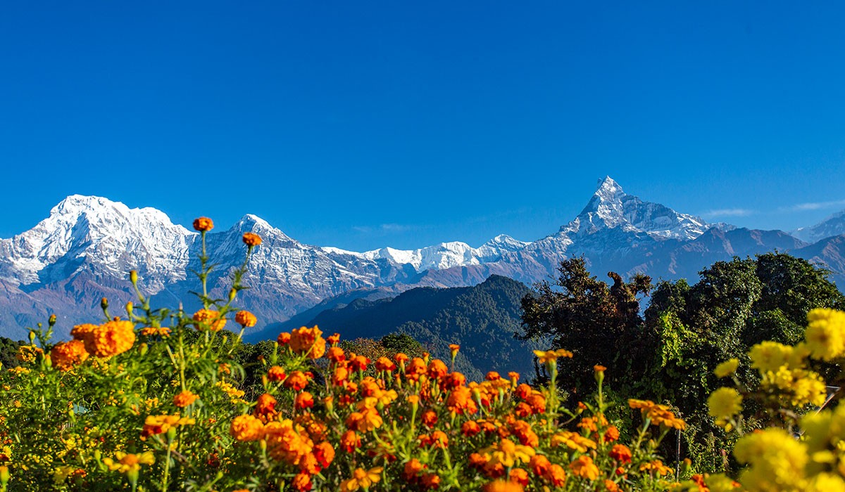 Best Time for Mardi Himal Trekking