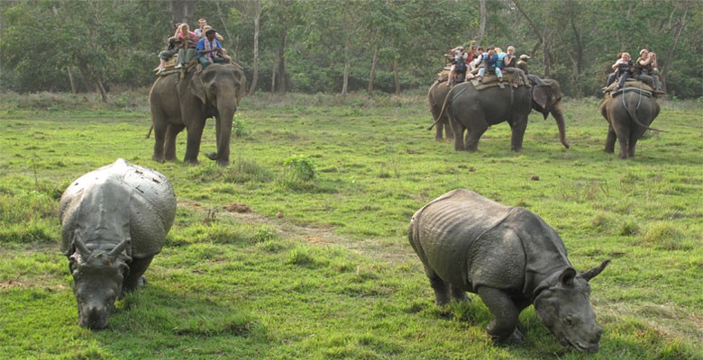Chitwan Wildlife Tour | Marvel Adventure