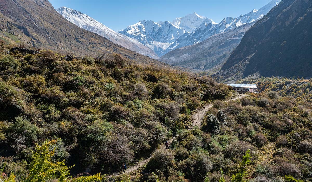langtang trek