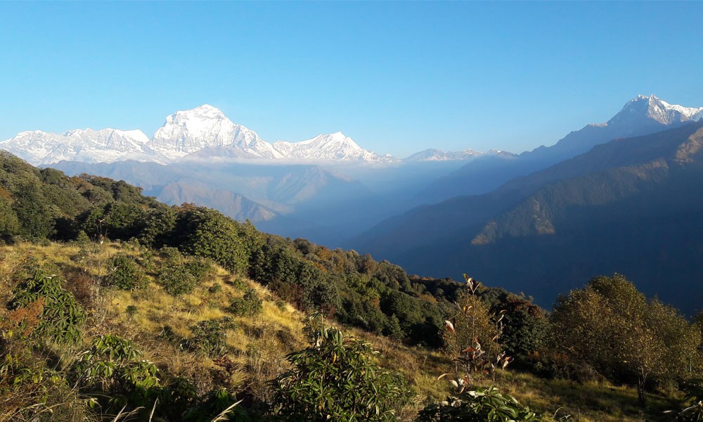 ghorepani trek