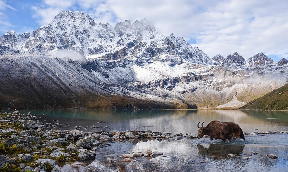 Gokyo Lake Trek in Monsoon Season (June to August)