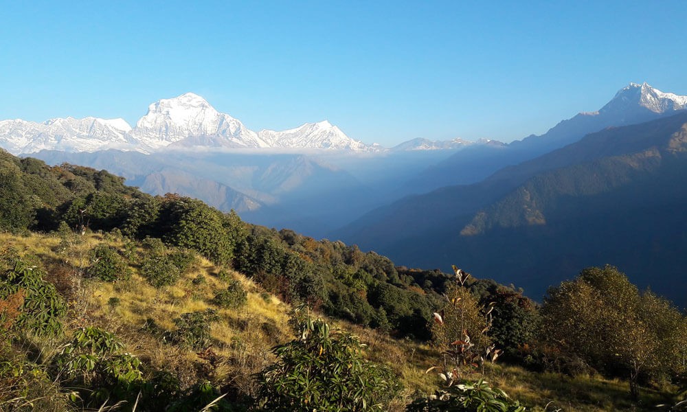 poon hill annapurna