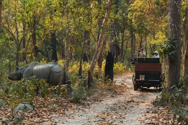chitwan wildlife tour