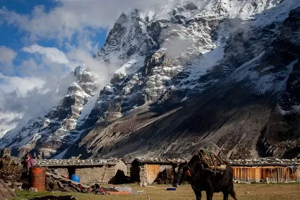 kanchenjunga circuit trek